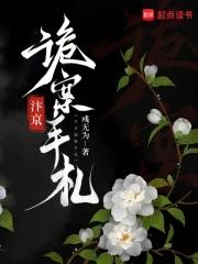 汴京诡案手札男主是谁